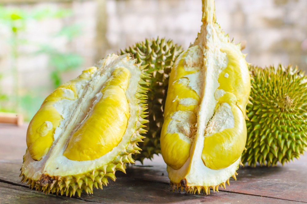 Durian or Sau Rieng in Vietnamese
