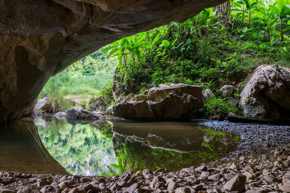 beautiful scene in Son Doong Cave