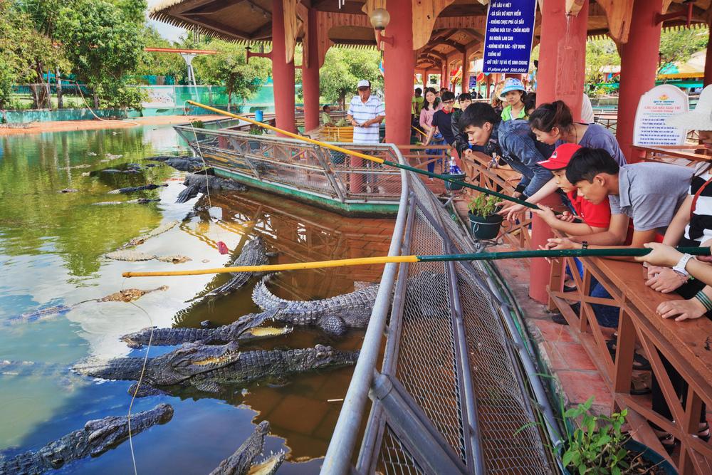 people feed crocodiles in Suoi Tien Theme Park, Saigon